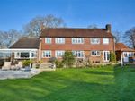 Thumbnail to rent in Harborough Hill, Pulborough, West Sussex