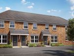 Thumbnail for sale in "Ollerton" at Cordy Lane, Brinsley, Nottingham