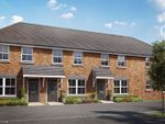 Thumbnail to rent in "Ollerton" at Cordy Lane, Brinsley, Nottingham