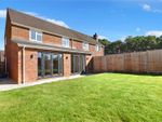Thumbnail for sale in Ashford Hill, Thatcham, Hampshire