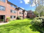 Thumbnail for sale in Healey Court, Coten End, Warwick
