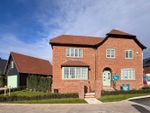 Thumbnail for sale in Oxmead Street, Ewhurst, Cranleigh