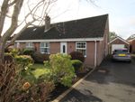 Thumbnail to rent in Prospect Drive, Carrickfergus, County Antrim