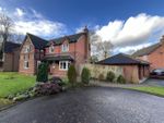 Thumbnail to rent in Knutsford Close, Eccleston, St. Helens