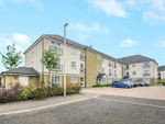 Thumbnail to rent in Ferniesyde Court, Falkirk, Stirlingshire