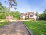 Thumbnail for sale in Cuttinglye Road, Crawley Down, Crawley, West Sussex