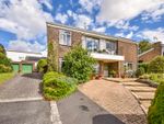 Thumbnail for sale in Lambourne Way, Thruxton, Andover