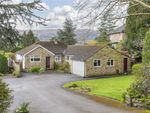 Thumbnail for sale in Curly Hill, Ilkley, West Yorkshire