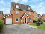 Thumbnail to rent in Aspen Drive, Ashford