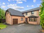 Thumbnail for sale in Strathmiglo Place, Stenhousemuir