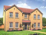Thumbnail to rent in "The Bond" at Harland Way, Cottingham