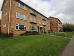 Thumbnail to rent in Beaconsfield Road, Canterbury
