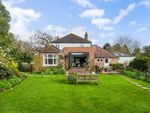 Thumbnail for sale in Church Road, Haslemere