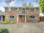 Thumbnail for sale in Elm Road, Horsell, Woking, Surrey
