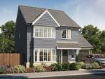 Thumbnail to rent in "The Scrivener" at Cedar Close, Bacton, Stowmarket