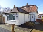 Thumbnail to rent in Moss Road, Tillicoultry