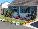 Thumbnail to rent in Hill Head Park, Brixham