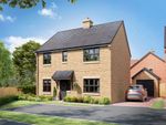 Thumbnail to rent in "The Marlborough" at Ann Strutt Close, Hadleigh, Ipswich