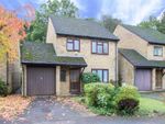 Thumbnail for sale in Pepys Close, Ickenham