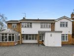 Thumbnail to rent in Butlers Close, Broomfield, Chelmsford