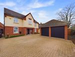 Thumbnail for sale in St Nicholas Drive, Moulton