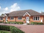 Thumbnail for sale in "The Primrose - Plot 487" at Stirling Close, Maldon