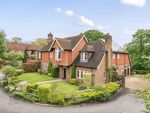 Thumbnail for sale in Carylls Meadow, West Grinstead