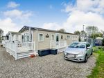 Thumbnail to rent in New River Bank, Littleport, Ely