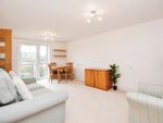Thumbnail for sale in New Writtle Street, Chelmsford