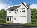 Thumbnail to rent in "Maplewood" at Off Craigmill Road, Strathmartine, Dundee
