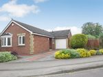 Thumbnail for sale in Broomfield Avenue, Northallerton