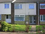 Thumbnail to rent in Gorse Walk, Colchester, Essex