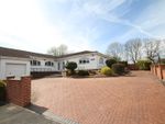 Thumbnail to rent in Herm Close, Seabridge, Newcastle-Under-Lyme