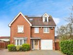 Thumbnail to rent in The Cedars, Chelmsford