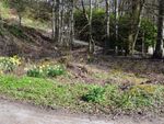 Thumbnail for sale in Plot Of Land, Bridge Of Cally, Blairgowrie