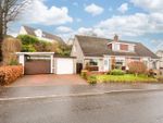 Thumbnail for sale in Redwell Place, Alloa