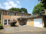 Thumbnail to rent in Malford Grove, South Woodford