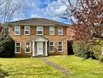 Thumbnail to rent in The Cedars, Milford, Godalming