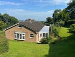 Thumbnail to rent in Upper Dolfor Road, Newtown, Powys