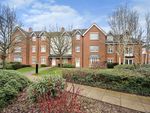 Thumbnail to rent in Chancel Court, Solihull