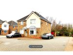 Thumbnail to rent in The Groves, Hull