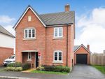 Thumbnail for sale in Hazel Close, Rugby