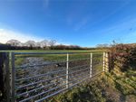 Thumbnail for sale in Mountfield, Nr Robertsbridge, East Sussex