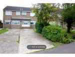 Thumbnail to rent in Forest Road, Colchester
