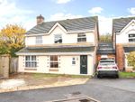 Thumbnail to rent in Blaenant, Emmer Green, Reading