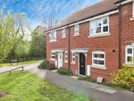 Thumbnail to rent in Farm Drive, Petersfield, Hampshire