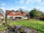 Thumbnail for sale in Station Road, Bentworth, Alton, Hampshire