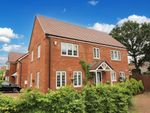 Thumbnail for sale in Lacewing Drive, Biddenham, Bedford