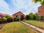 Thumbnail to rent in Moorhouse Close, Whiston, Rotherham