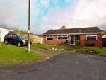 Thumbnail to rent in Chilgrove Avenue, Blackrod, Greater Manchester